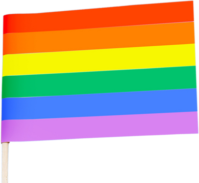 LGBTQIA Pride Flag