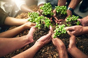 Group of people with hands in soil planting a garden.