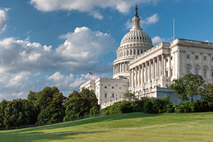 photo of grass field leading up to Capital hill