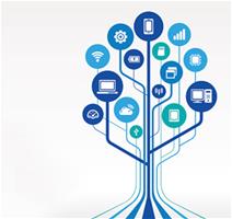 tree of digital resources