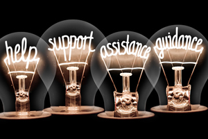 lightbulbs with filaments reading "help," "support," "assistance," and "guidance"