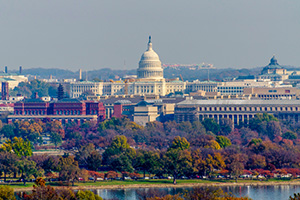 Photograph of the U.S. Capitol from Arlington National Cemetary.