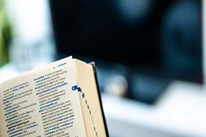 Photograph of an open dictionary.