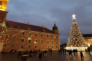 public space with a large Christmas tree covered in lights with a star on the top stands next to a building