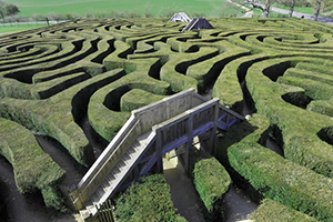 hedge maze with a stone walkway bridging over one of the paths