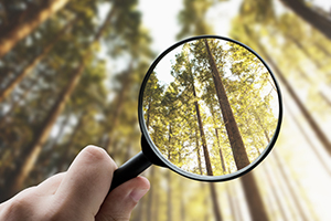 Hand holding a magnifying glass bringing an image into focus.