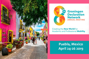 the left is a photo of a Mexican street with a pink building and the right is the text, "Groningen Declaration Network"