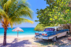 Photo of a tropical beach with palm trees and a blue classic car parked on the sand.