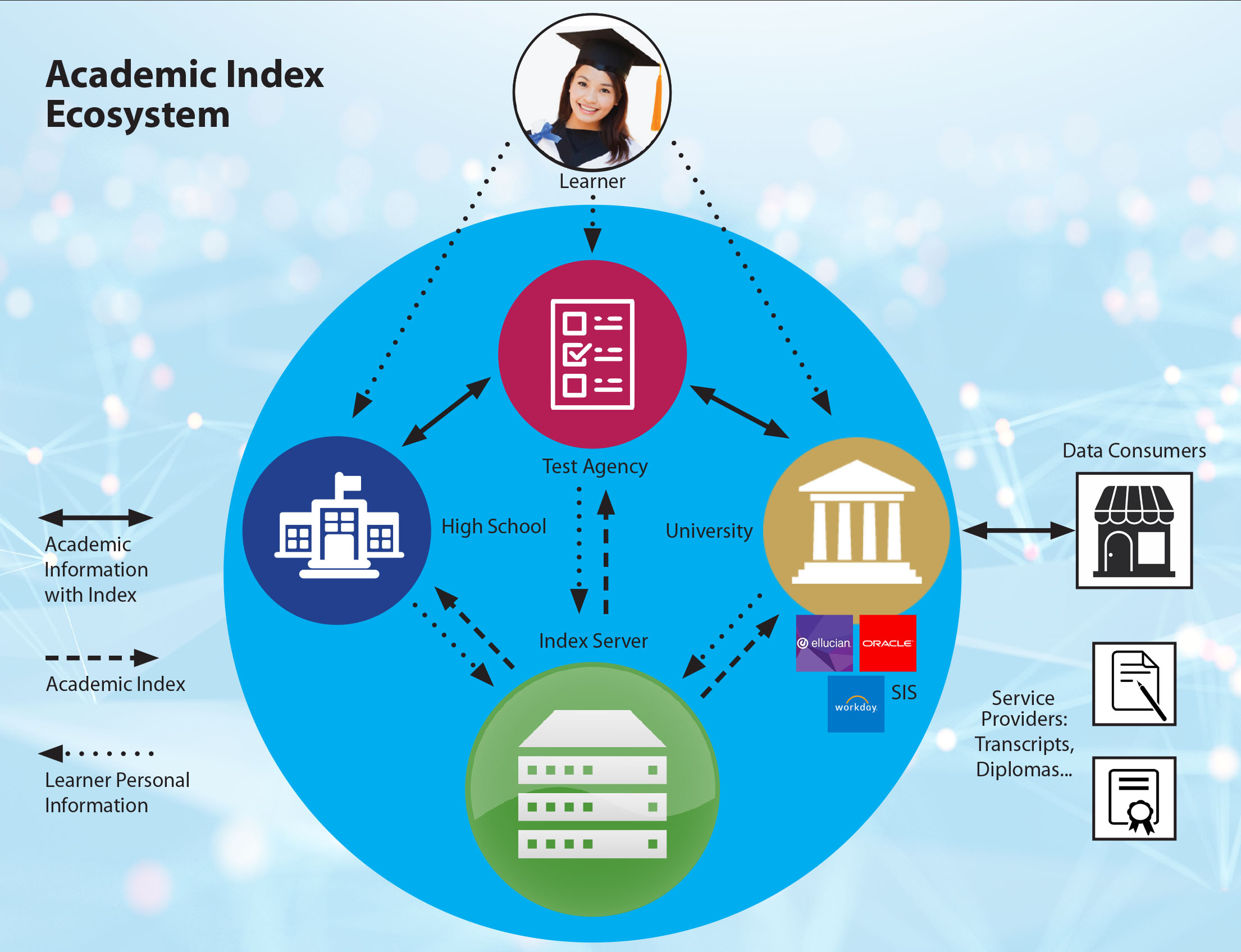 LRMI Ecosystem Art