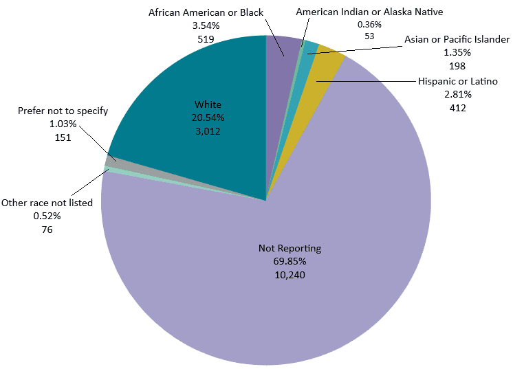 ethnicity-pie-2024