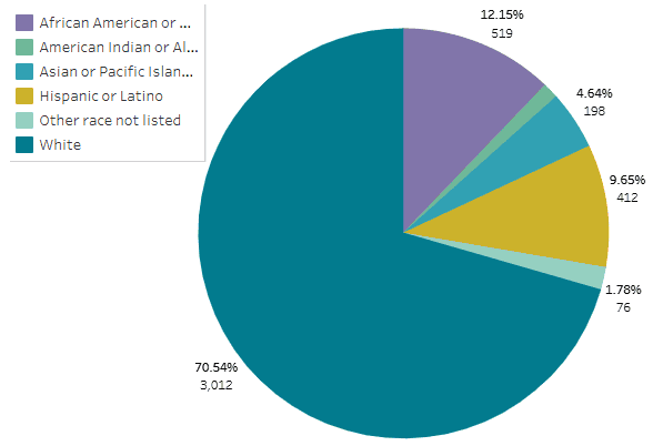 ethnicity-pie-exclusions-2024