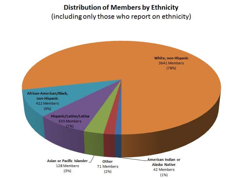 members-by-ethnicity---reporting-only-2017