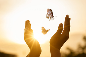 Photograph of an individual releasing two butterflies.