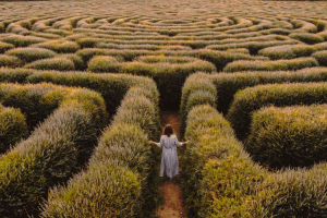 A person at the entrance to a labyrinth
