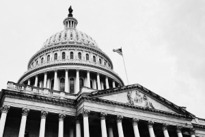 U.S. Capitol black and white