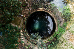Well from above