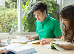 Group of students studying together with plants visible through the window they're sitting next to.