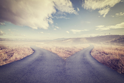 Nondescript asphalt road branches into two separate routes stretching out into the horizon.