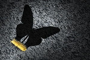 Photograph of a caterpillar with a butterfly shadow.