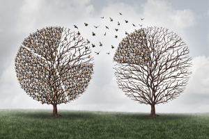 Two leafless trees with birds flying between them in a cloudy landscape