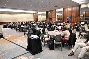 Groups of SEM Conference attendees sitting at round tables.