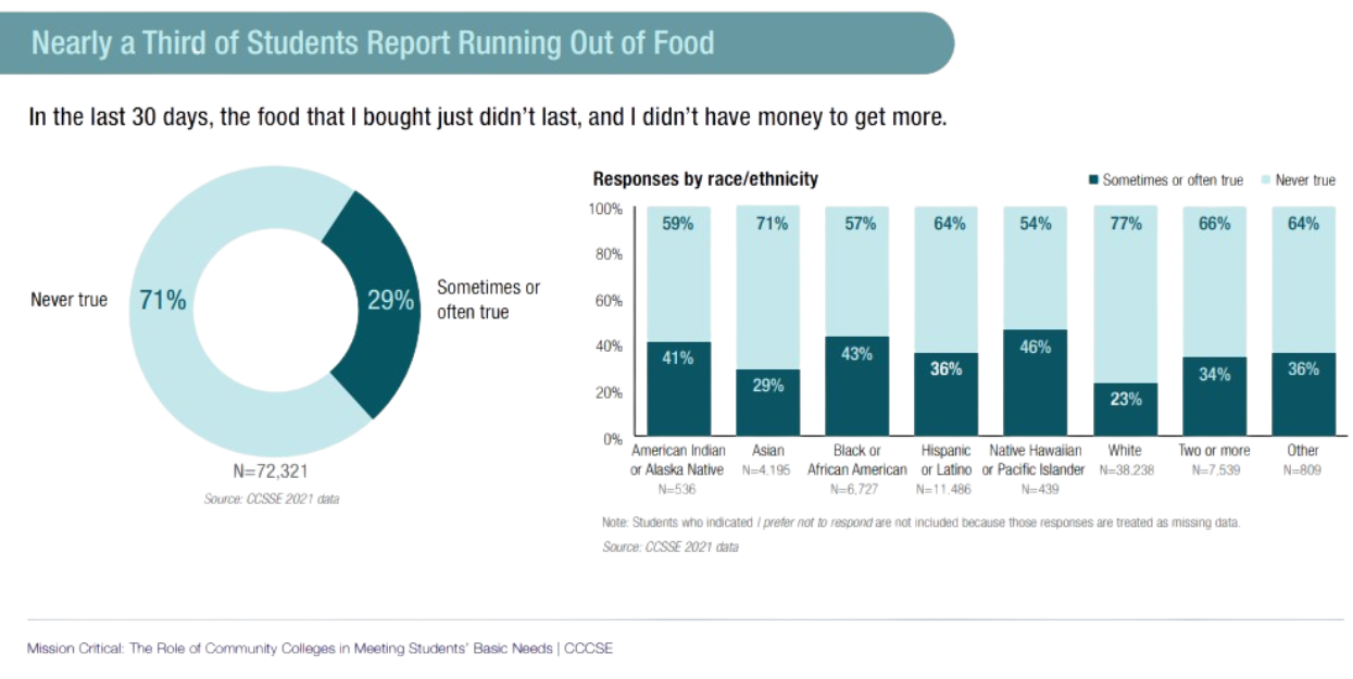 New Report Highlights the Efforts of Community Colleges to Meet Basic Student Needs
